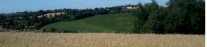 bandeau blé 6 hectares
